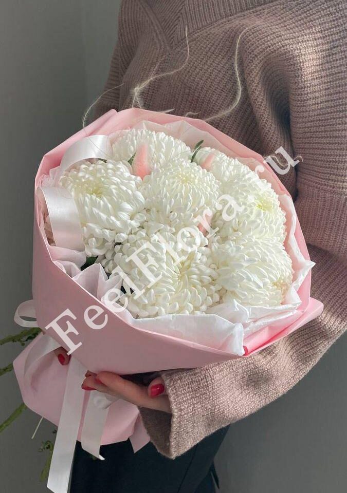 Снежный